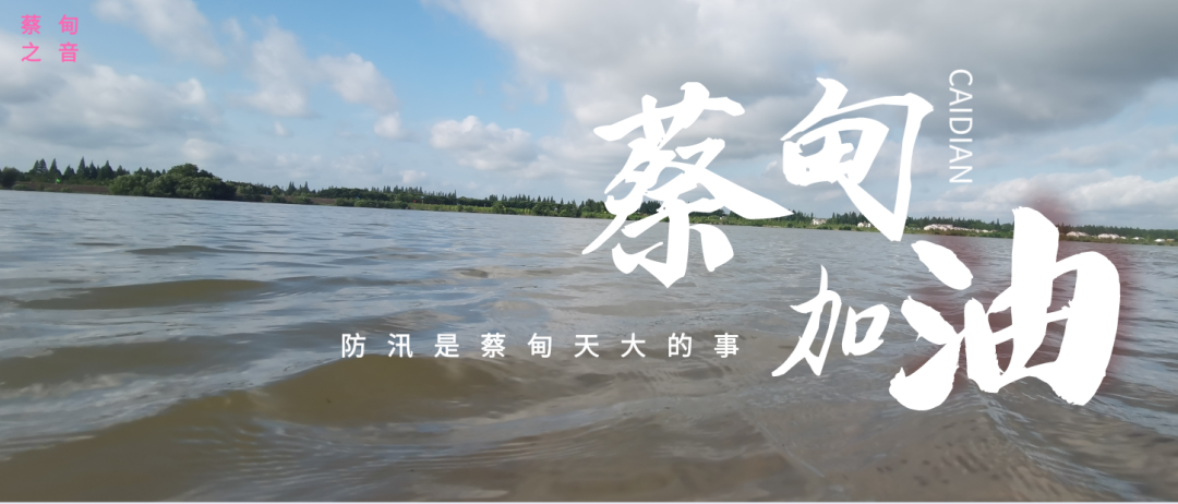 蔡甸區(qū)啟動防汛ⅰ級應急響應，做好鋪土釘防汛木樁工作