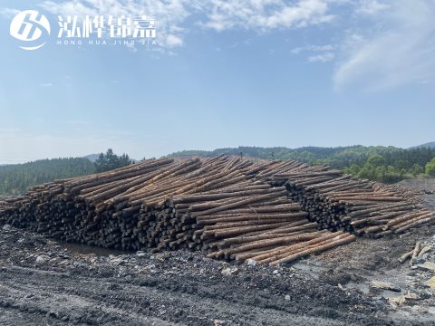 河道打樁為什么選擇松木樁來處理軟地基？-松木樁施工使用范圍