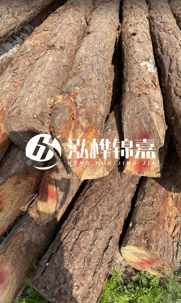 <strong>松木樁和杉木樁的用途區(qū)別？哪個更適合打樁用？</strong>