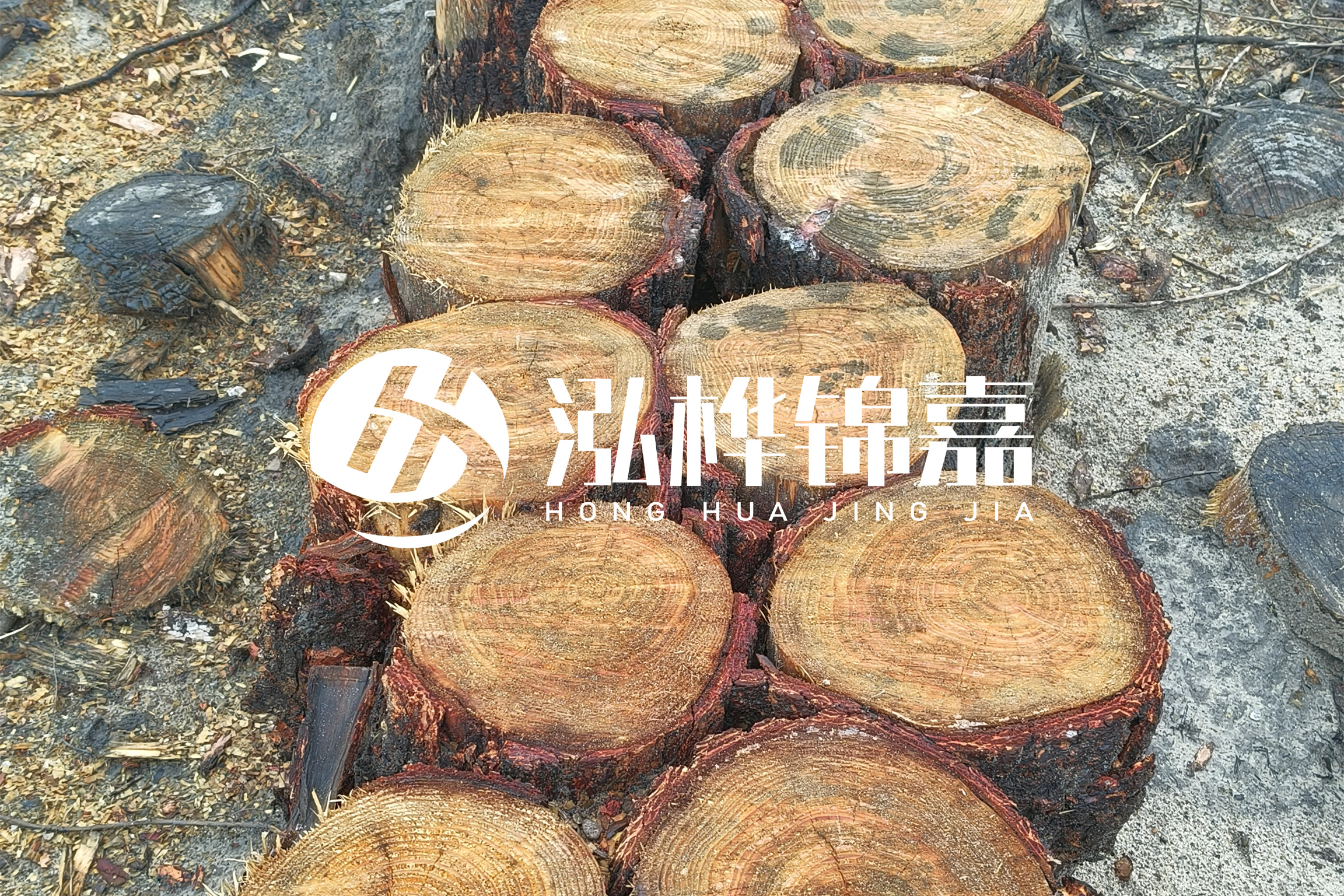 浙江臺州有清淤的公司嗎？浙江臺州有清淤施工隊嗎？