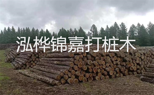 選擇紅磚護(hù)坡，打造獨(dú)特的美麗景觀