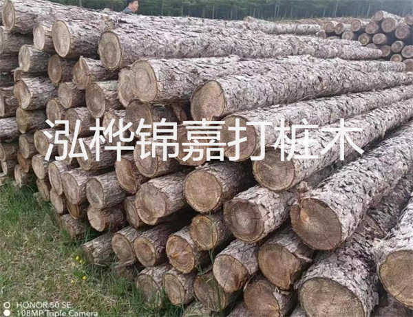 高效修補(bǔ)，保駕護(hù)航！水泥路面高強(qiáng)度修補(bǔ)料為您解決煩惱！