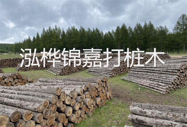 預(yù)制松木樁施工工藝：優(yōu)質(zhì)材料，高效快速，堅(jiān)固耐用