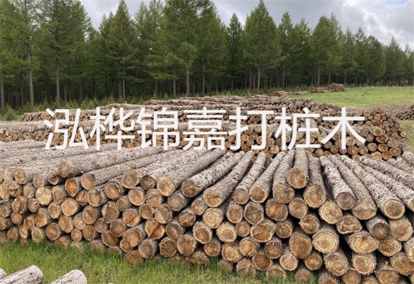 松木樁能施工嗎？探究視頻揭秘真相！