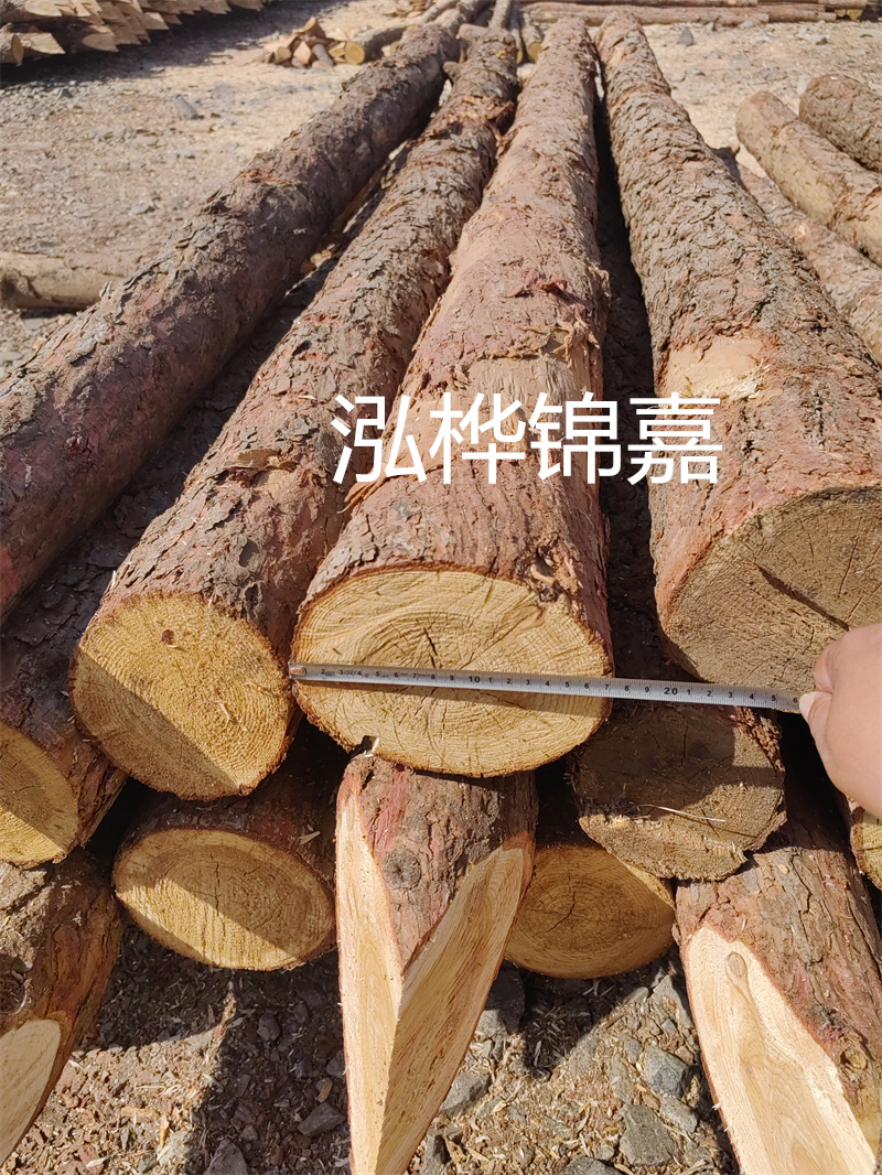 福建哪里買(mǎi)松木樁？