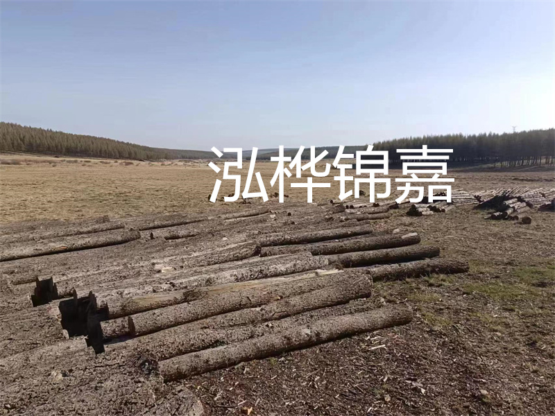 鄂州松木樁哪里好？推薦泓樺錦嘉松木樁業(yè)！