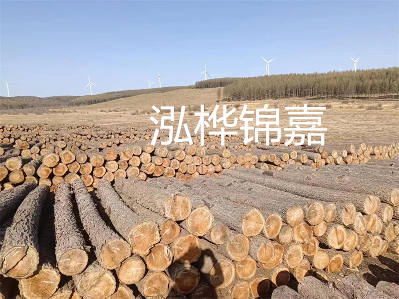 濟(jì)南哪里賣(mài)松木木樁？